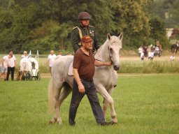 dsc_2905a