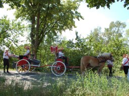 Schützenfest 2023 &raquo; Schlacht am Hemeringer Berg + Umzug - 25.06.2023