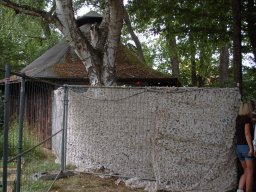 dsc_3390a